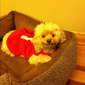 Meet your Posher, Anaid